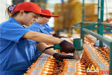 Chongqing Shanyan Crane Machinery Co., Ltd. manufacturer production line